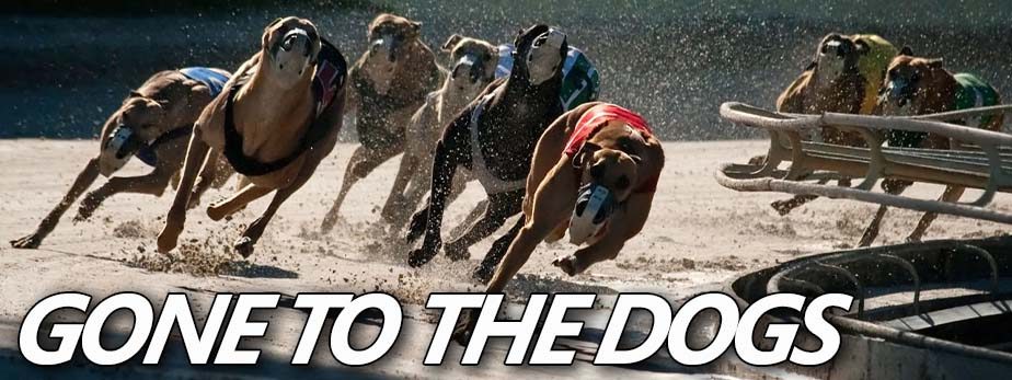 Gone to The Dogs - Greyhound Racing Tricks And Scams